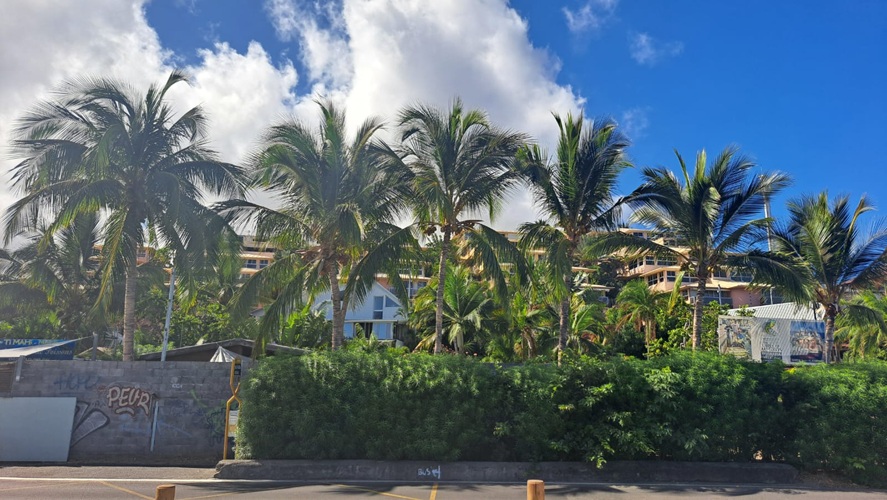 Erfurter-Judoclub-in-La Réunion